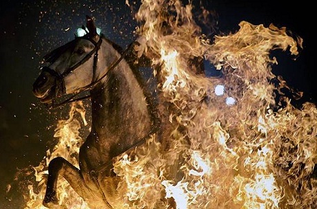 A man rides a horse through a bonfire in San Bartolome de Pinares, Spain (Pic: Getty Images)