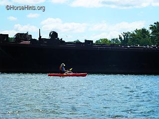 Image: CopyrightHorseHints.org/Bill along side a sunken ship at Mallows Bay.