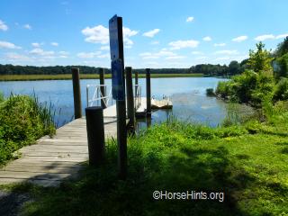 Image: CopyrightHorseHints.org/CopyrightHorseHints.org/Mallows Bay Boat Ramp