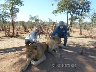 Walk With the Lions/Zimbabwe/CopyrightHorseHints.org